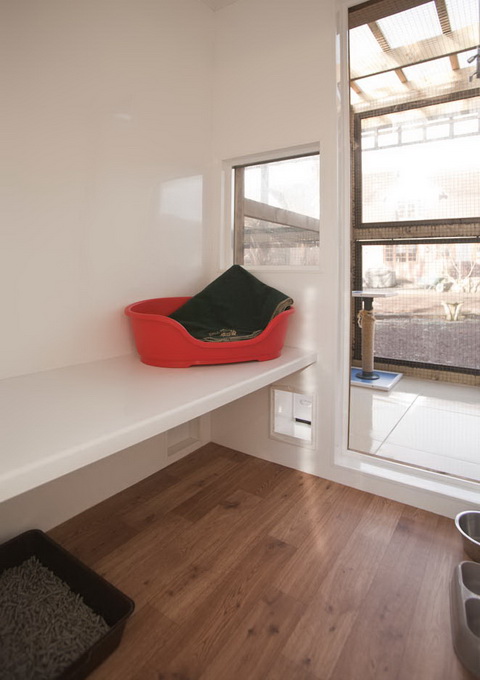 Luxury not expensive